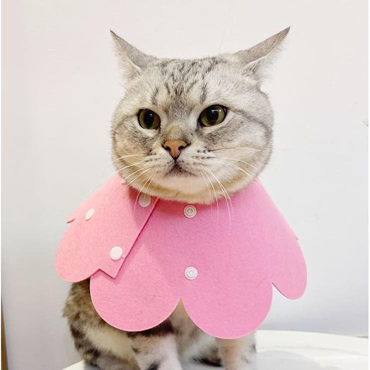 エリザベスカラー 猫用 犬用 | PlusNao | 詳細画像4 