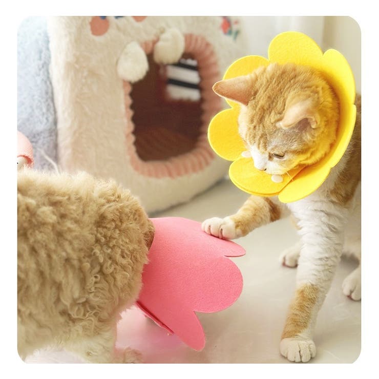 エリザベスカラー 猫用 犬用 | PlusNao | 詳細画像5 