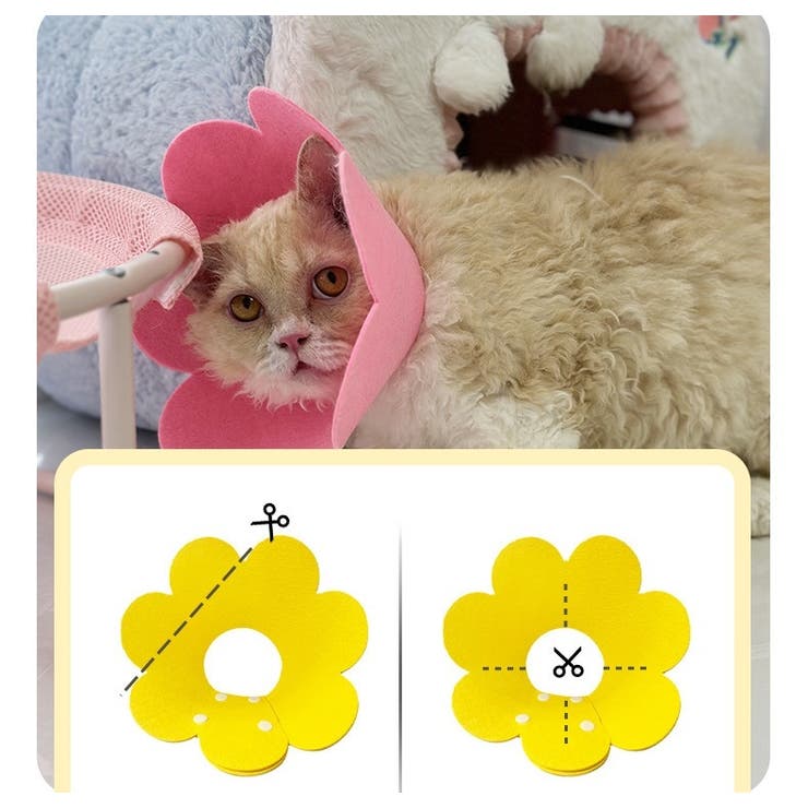 エリザベスカラー 猫用 犬用 | PlusNao | 詳細画像9 