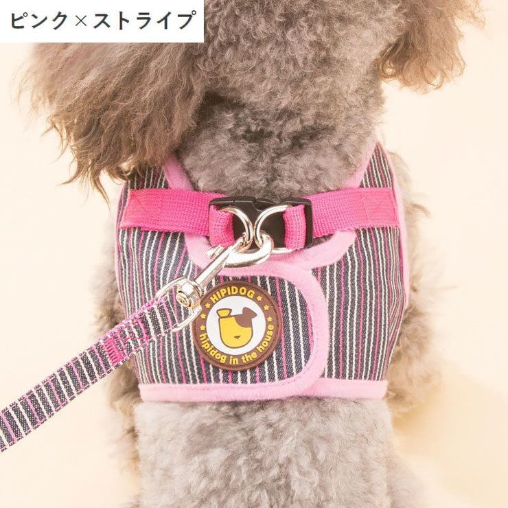 ハーネス リード 2点セット | PlusNao | 詳細画像12 