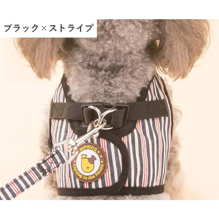 ハーネス リード 2点セット | PlusNao | 詳細画像17 