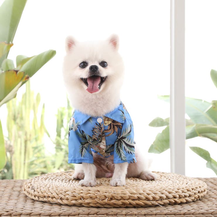 ドッグウェア アロハシャツ 犬服 | PlusNao | 詳細画像12 