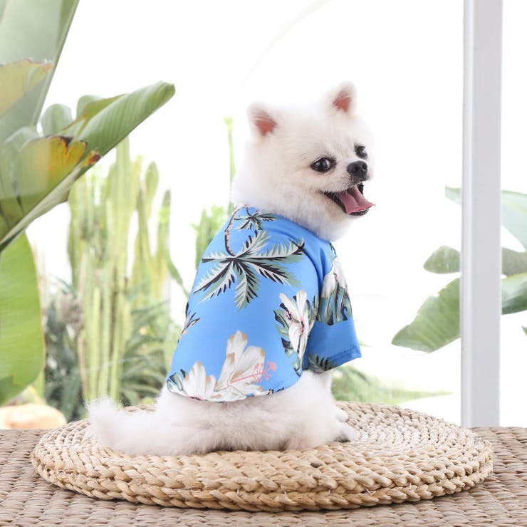 ドッグウェア アロハシャツ 犬服 | PlusNao | 詳細画像13 