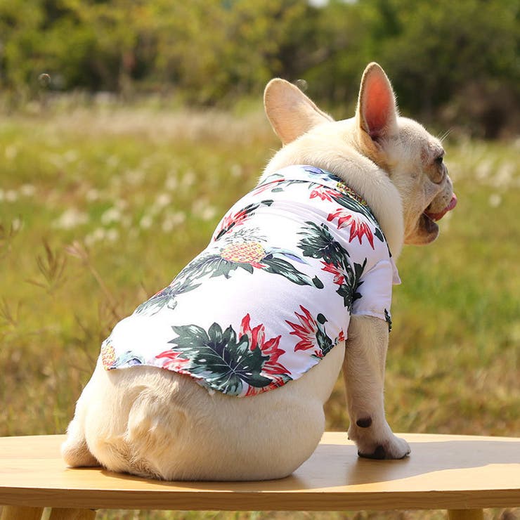 ドッグウェア アロハシャツ 犬服 | PlusNao | 詳細画像4 