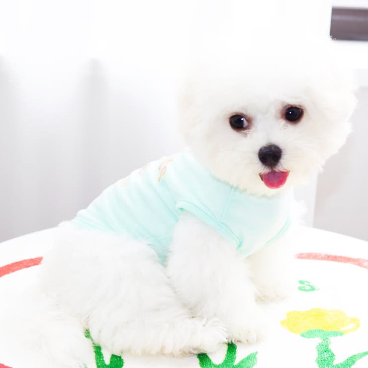 ドッグウェア 犬服 キャットウェア | PlusNao | 詳細画像4 