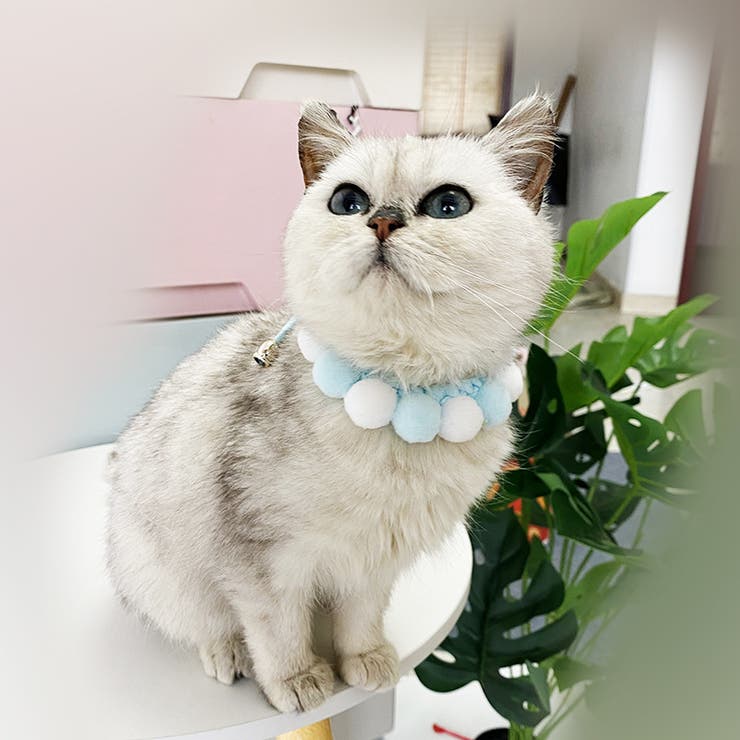 ペット用チョーカー チョーカー ネックレス | PlusNao | 詳細画像4 