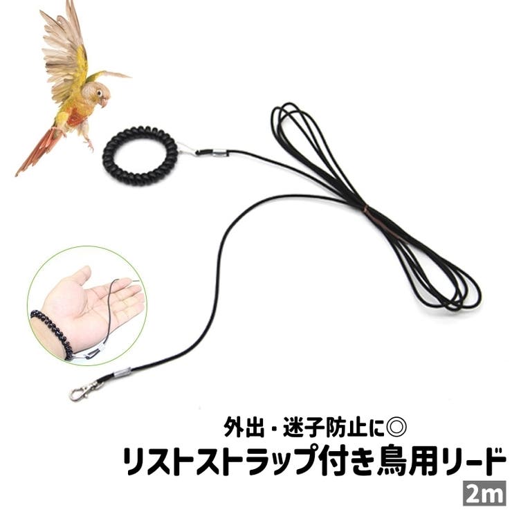 ntntntnt様 リクエスト 6点 まとめ商品 専用　オドリドリ抜き バレル【トリニダード】ホゼ タイプ2 ホゼ・オーガスト