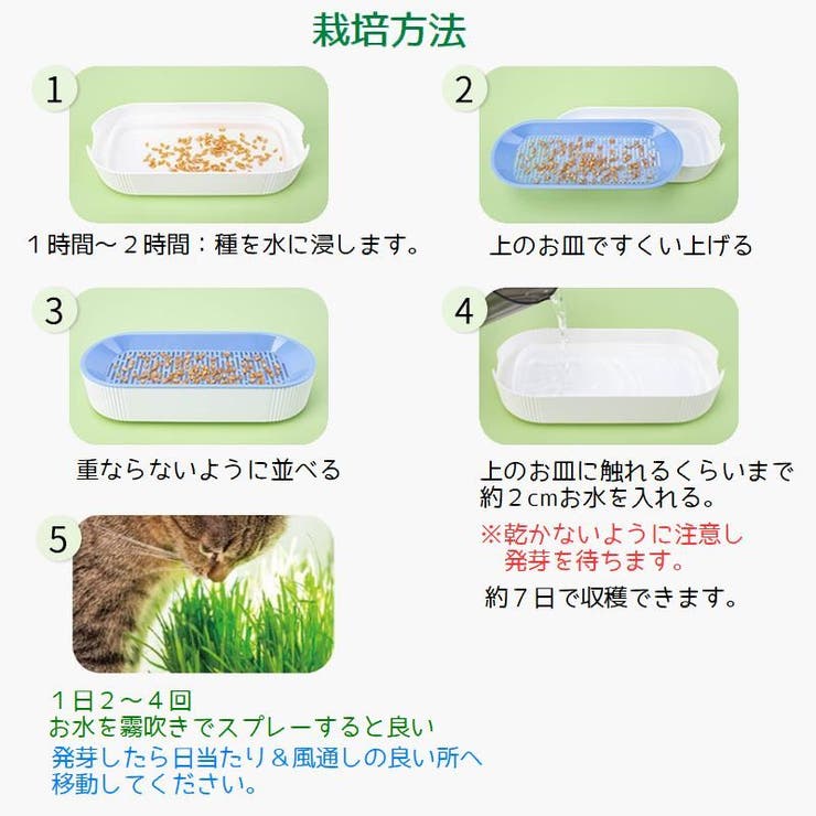 猫草用プランター 水耕栽培 ペット用品 | PlusNao | 詳細画像13 