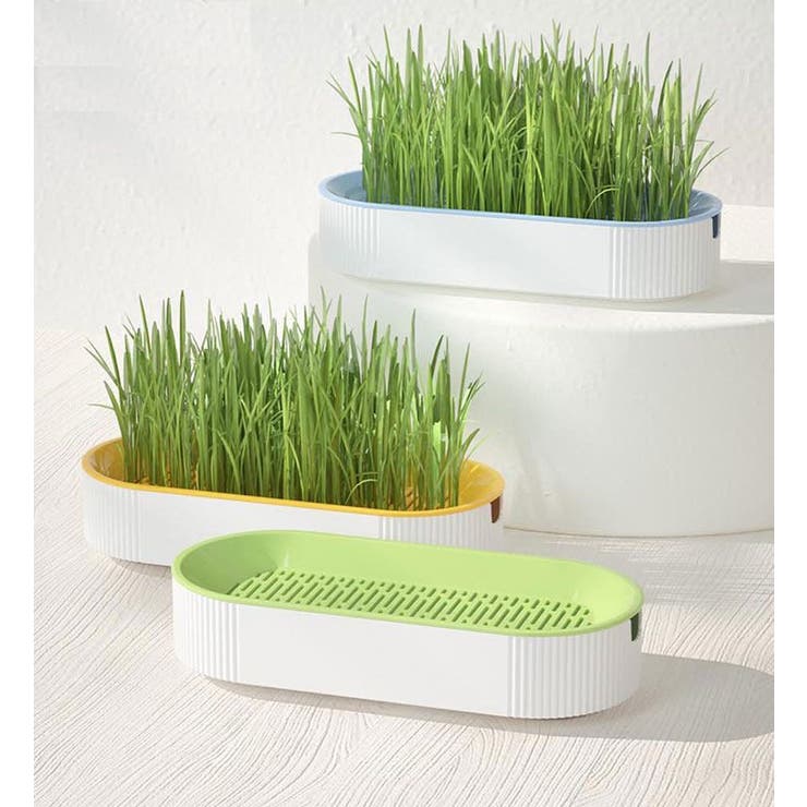 猫草用プランター 水耕栽培 ペット用品 | PlusNao | 詳細画像2 