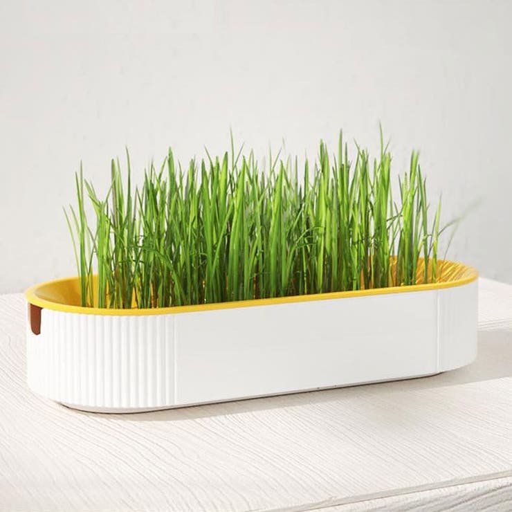 猫草用プランター 水耕栽培 ペット用品 | PlusNao | 詳細画像3 