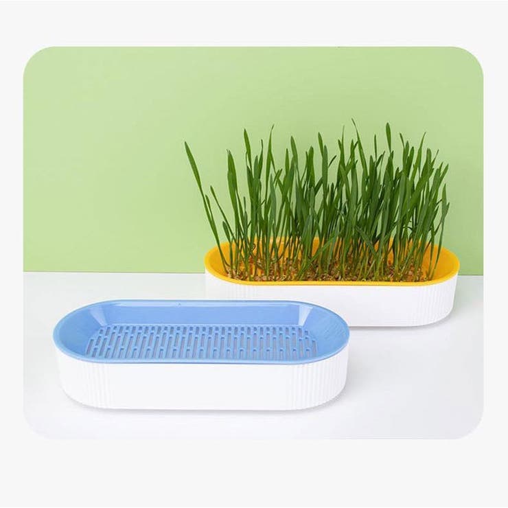 猫草用プランター 水耕栽培 ペット用品 | PlusNao | 詳細画像4 