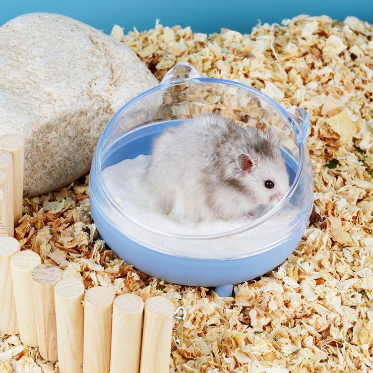 小動物用トイレ ハムスター 砂浴び | PlusNao | 詳細画像4 