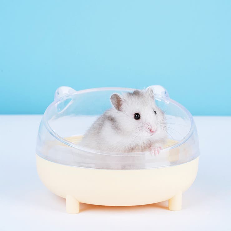 小動物用トイレ ハムスター 砂浴び | PlusNao | 詳細画像8 