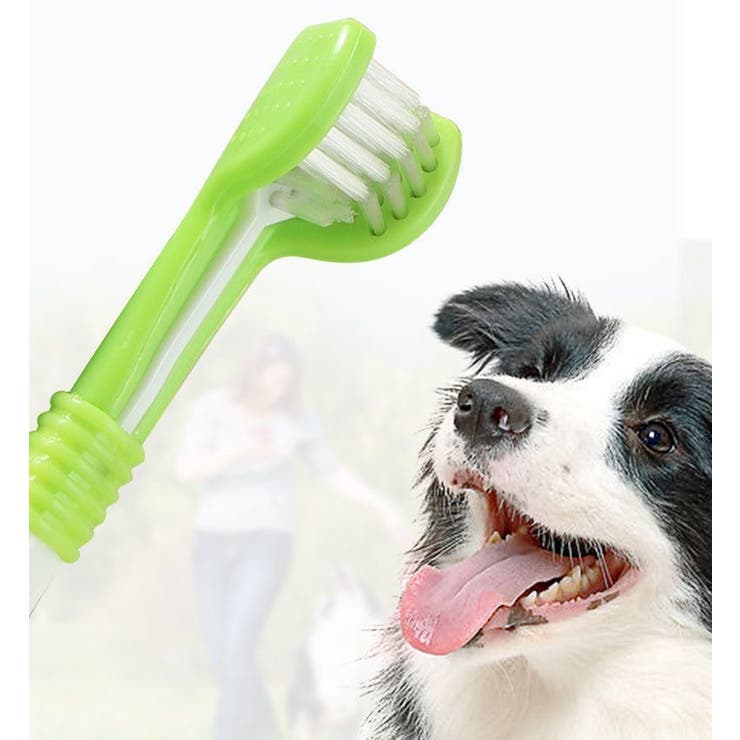 ペット用歯ブラシ 犬用 猫用 | PlusNao | 詳細画像15 