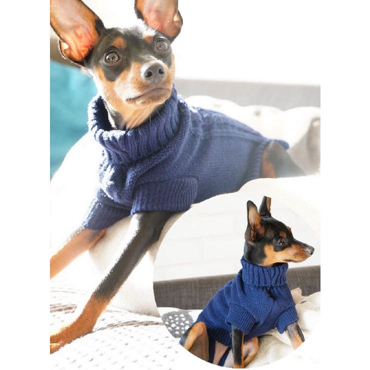 ペットウエア ケーブルニット セーター | PlusNao | 詳細画像3 