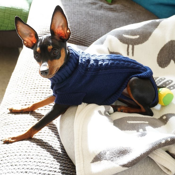 ペットウエア ケーブルニット セーター | PlusNao | 詳細画像4 