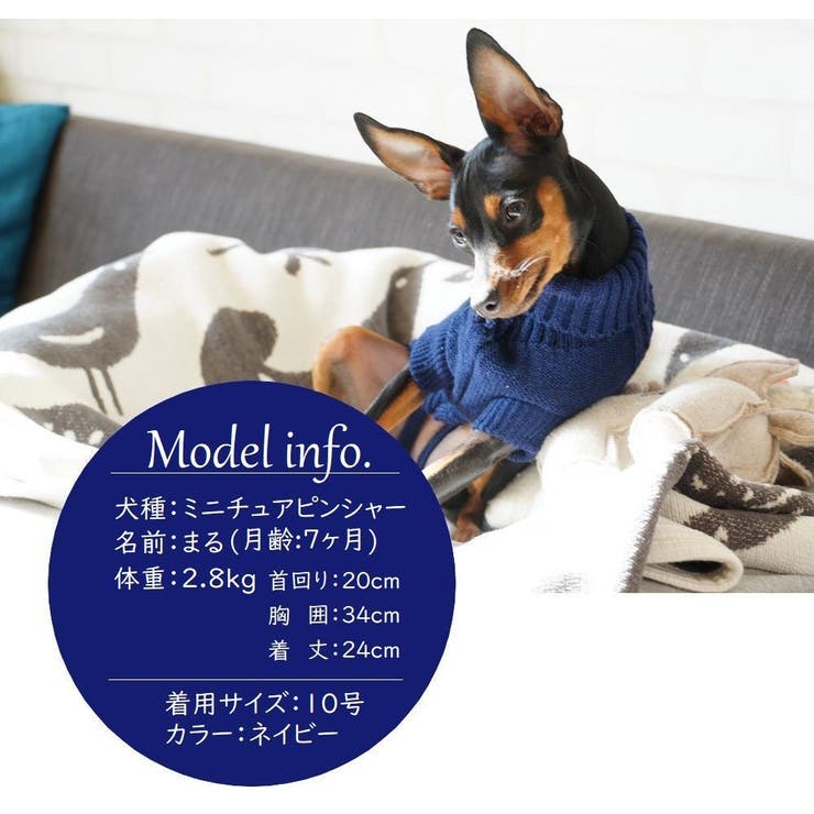 ペットウエア ケーブルニット セーター | PlusNao | 詳細画像6 