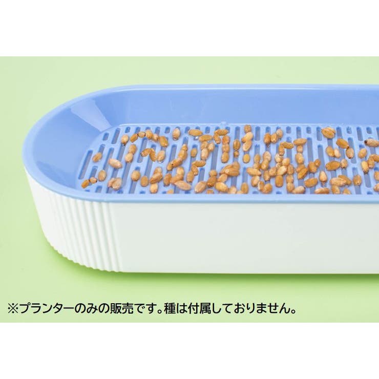 猫草プランター 猫草ポット 猫草ボックス | PlusNao | 詳細画像13 