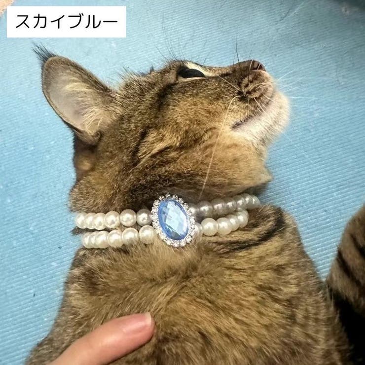 ペット用アクセサリー首輪 ネックレス 犬用 | PlusNao | 詳細画像7 