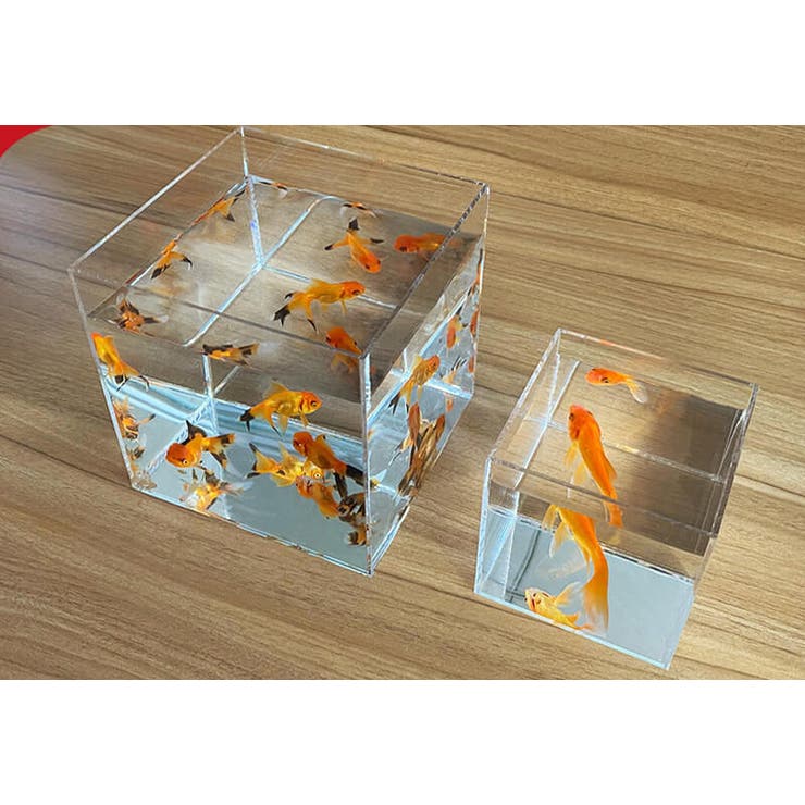 ミニ水槽 ペット用品 インテリア | PlusNao | 詳細画像3 