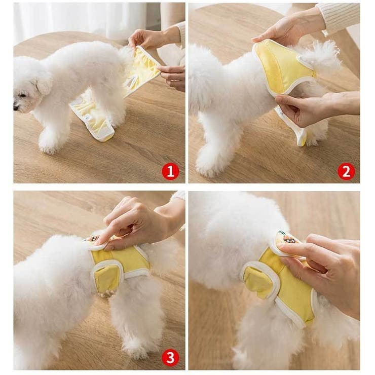 犬用サニタリーパンツ ペット用 パンツ | PlusNao | 詳細画像12 