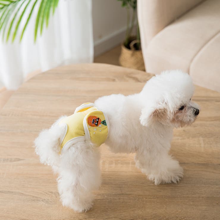 犬用サニタリーパンツ ペット用 パンツ | PlusNao | 詳細画像2 