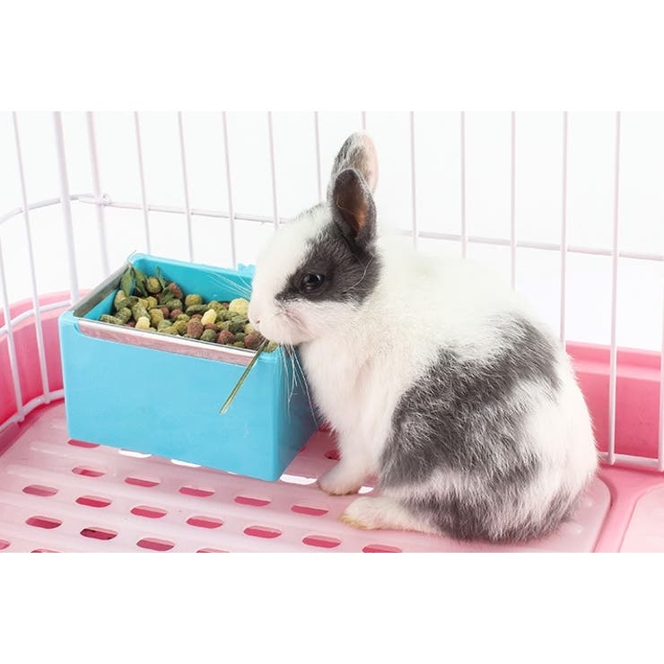 小動物用食器 ケージ ゲージ | PlusNao | 詳細画像3 