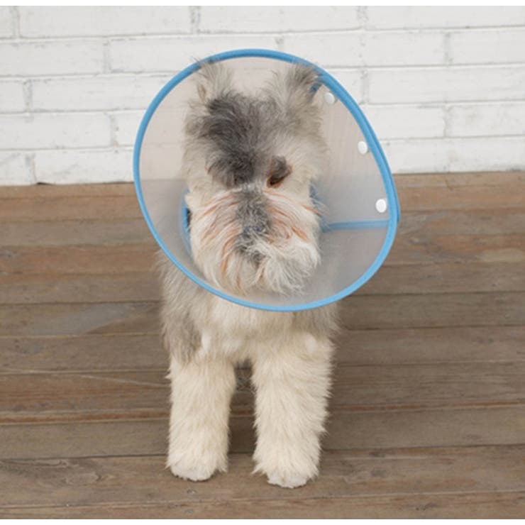 エリザベスカラー ペット用 犬用品 | PlusNao | 詳細画像2 