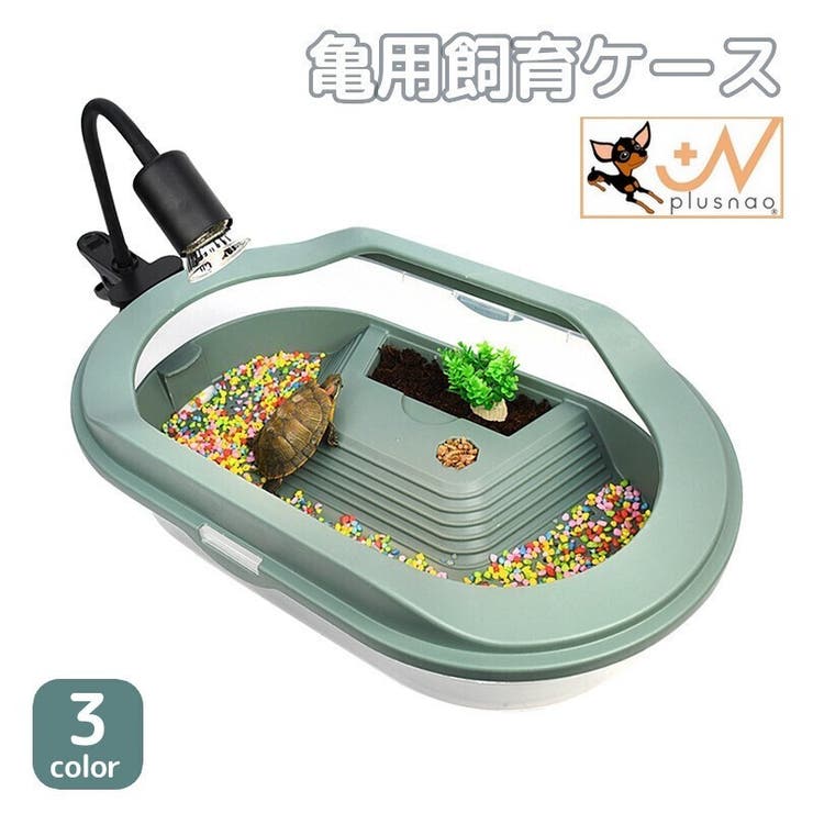 温室・飼育ケース nayutahanana0925 温室・飼育ケース nayutahanana0925 Amazon.co.jp: shopparadise