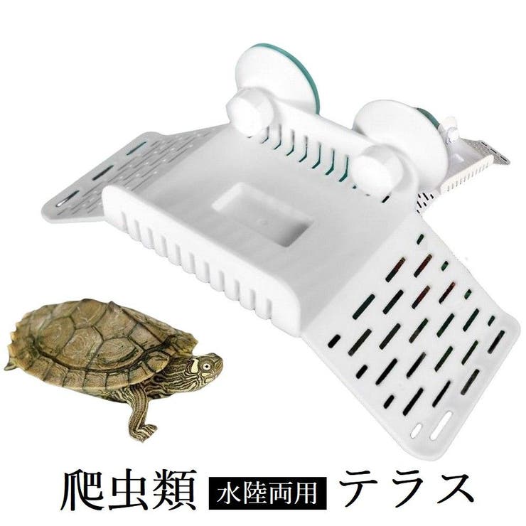爬虫類 浮島 水槽用 | PlusNao | 詳細画像1 