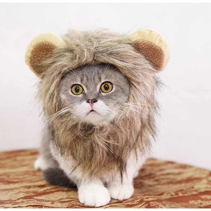 ペット用コスプレ帽子 被り物 かぶりもの | PlusNao | 詳細画像12 