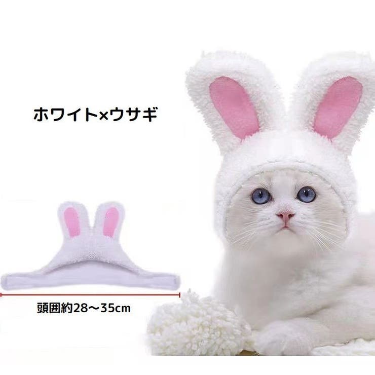 ペット用コスプレ帽子 被り物 かぶりもの | PlusNao | 詳細画像19 