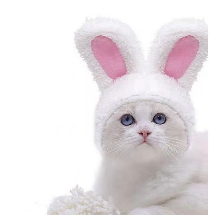 ペット用コスプレ帽子 被り物 かぶりもの | PlusNao | 詳細画像4 