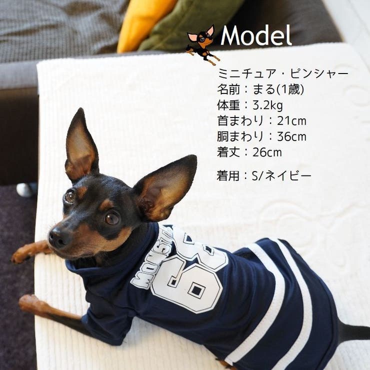 ペット服 Tシャツ ドッグウエア | PlusNao | 詳細画像6 