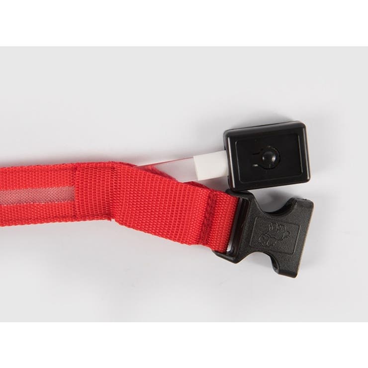 首輪 ペット 犬 | PlusNao | 詳細画像14 