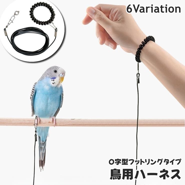 鳥 リード 販売