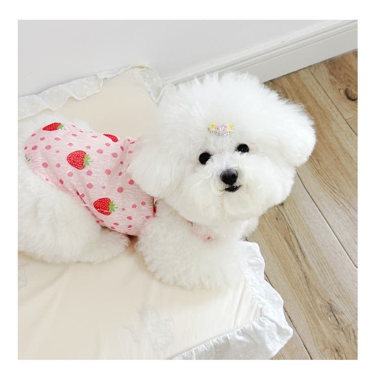 ドッグウェア 犬服 タンクトップ | PlusNao | 詳細画像6 