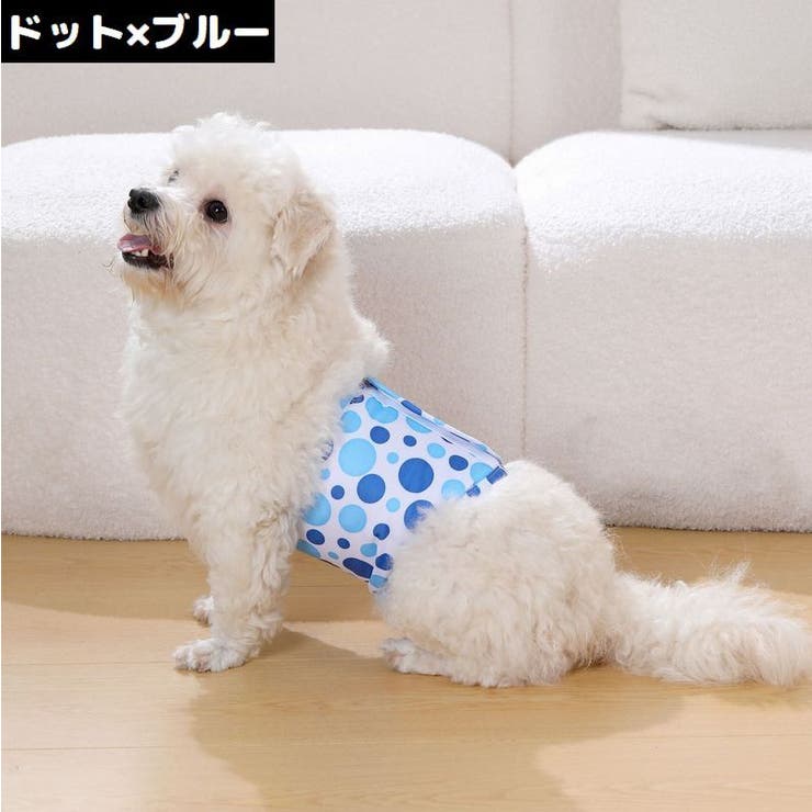 マナーベルト 男の用 オス用 | PlusNao | 詳細画像11 