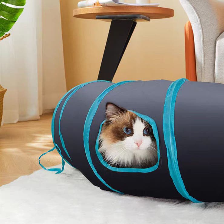 猫用おもちゃ キャットトンネル トンネル型[品番：FQ000215504