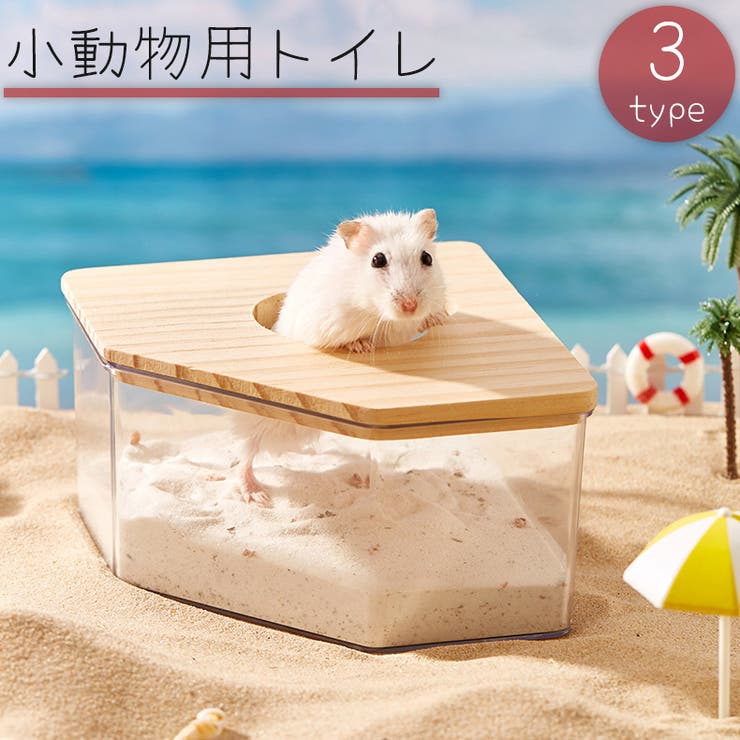 小動物用トイレ 砂風呂 お風呂 | PlusNao | 詳細画像1 