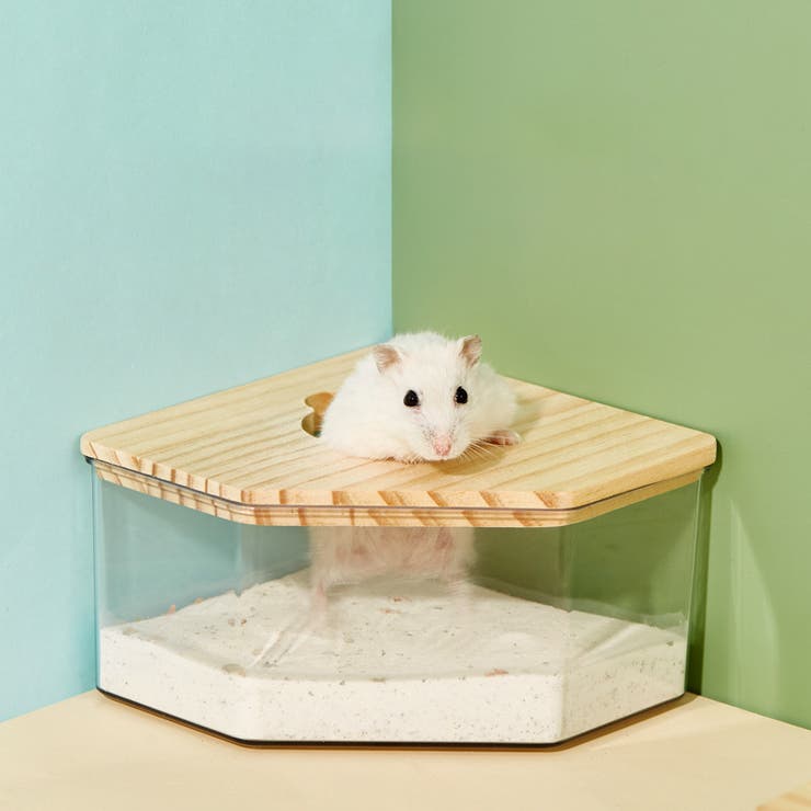 小動物用トイレ 砂風呂 お風呂 | PlusNao | 詳細画像4 