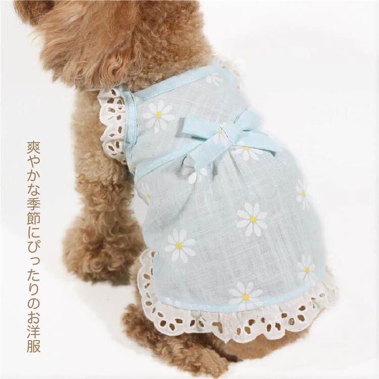 ドッグウェア キャミソールワンピース ペット服 | PlusNao | 詳細画像3 