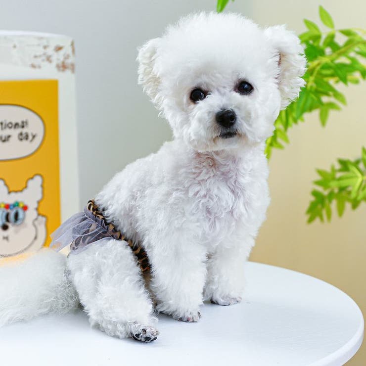 犬用 サニタリーパンツ マナーパンツ[品番：FQ000192724