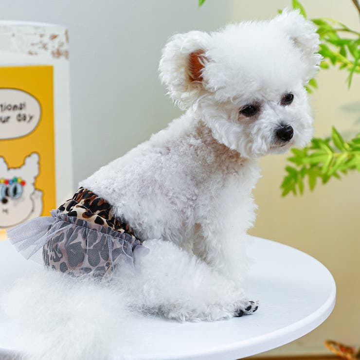 犬用 サニタリーパンツ マナーパンツ | PlusNao | 詳細画像7 