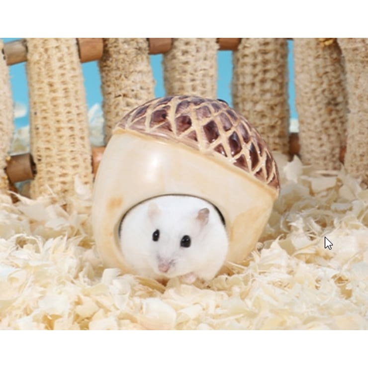 ハムスターハウス ハムスター用ハウス ネズミ | PlusNao | 詳細画像6 