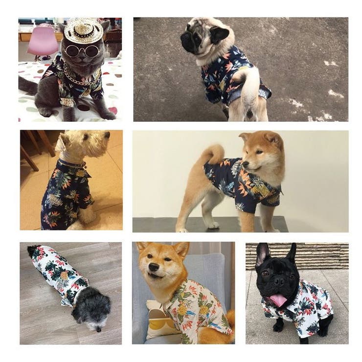 ドッグウエア ペットウエア 犬の服 | PlusNao | 詳細画像4 