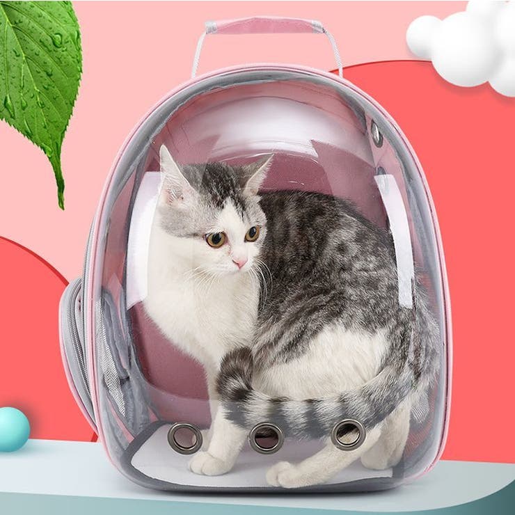 猫用キャリーバッグ リュックキャリー ペットキャリー | PlusNao | 詳細画像6 