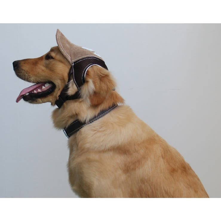 帽子 キャップ ペット用 | PlusNao | 詳細画像2 