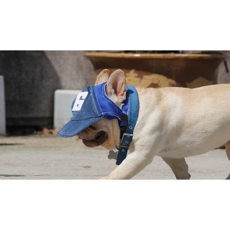 帽子 キャップ ペット用 | PlusNao | 詳細画像4 