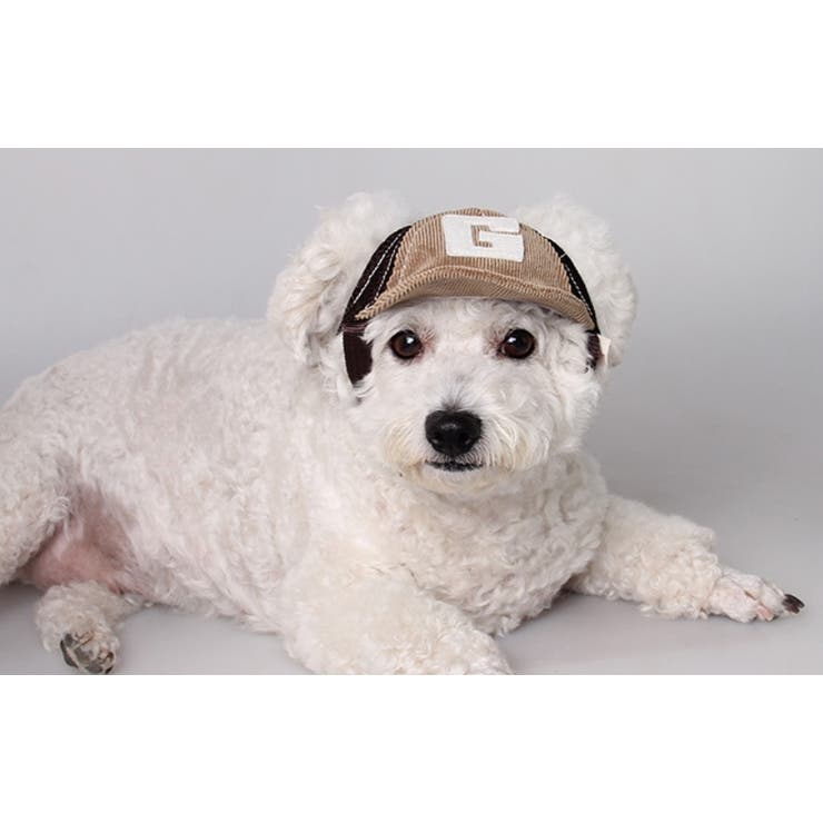 帽子 キャップ ペット用 | PlusNao | 詳細画像6 